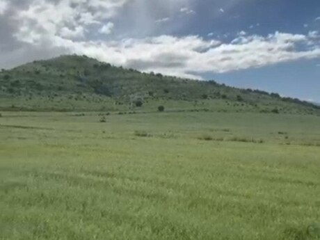 Şabran