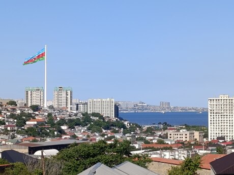 20-ci sahə q.