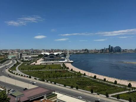 Bayıl q.