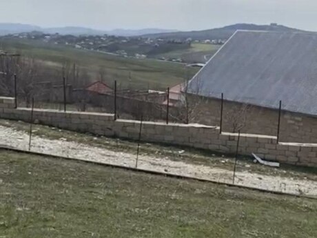 Şamaxı