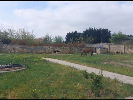 6 otaqlı həyət evi/bağ evi - Novxanı q. - 360 m²