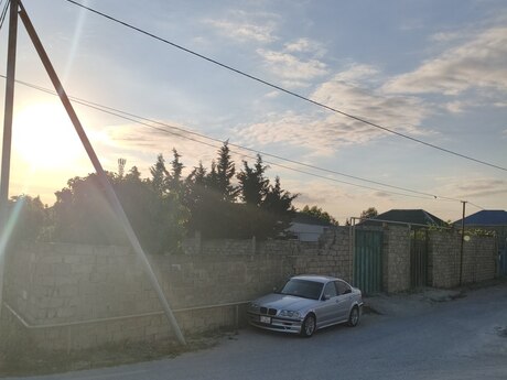 Qala q.