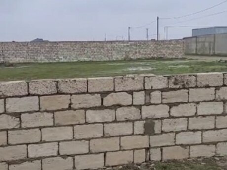 Buzovna q.