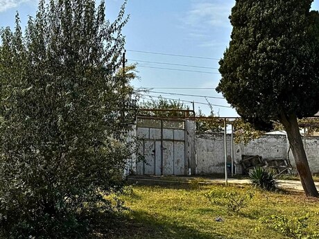 Novxanı q.
