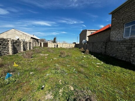 Hövsan q.