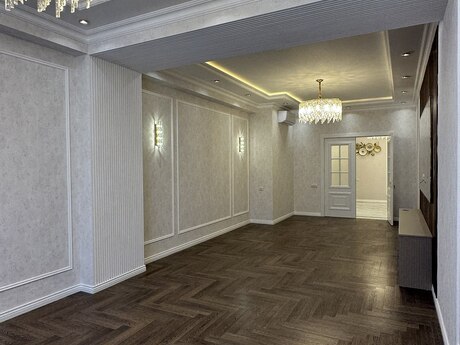4 otaq · 160 m² · 14/16 mərtəbə, Selenium City