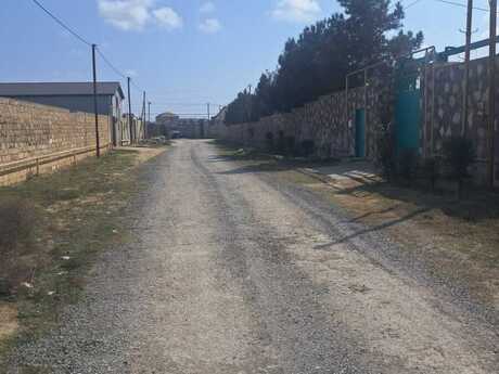 Qala q.