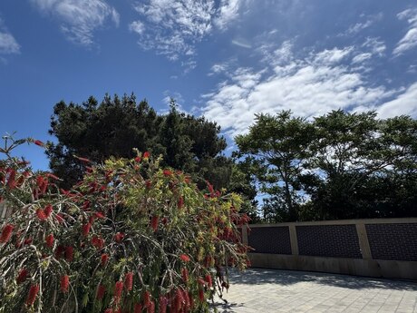 5 otaqlı həyət evi, 150 m², Bilgəh: 350 000 ₼ 2