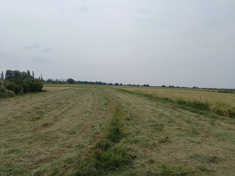 Sabirabad