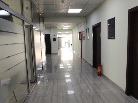 Şah İsmayıl Xətai m.