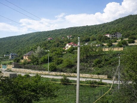 Şamaxı