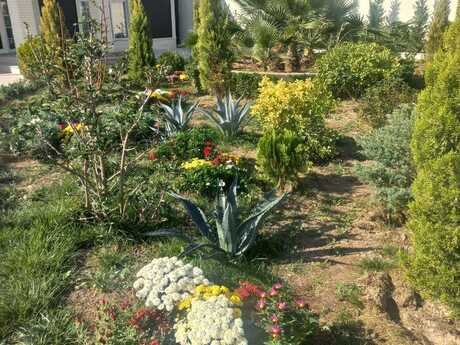 4 otaqlı həyət evi/bağ evi - Mərdəkan q. - 180 m²