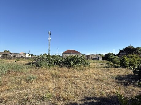 Albalılıq q.