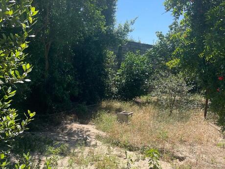 3 otaqlı həyət evi, 100 m², Novxanı: 90 000 ₼ 4