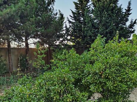 Novxanıda 6 otaqlı həyət evi kirayə verilir, 480 m², 4 000 AZN/ay, şəkil 2 / 12