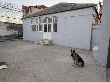Bakıxanov q.