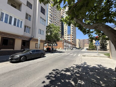 Şah İsmayıl Xətai m.