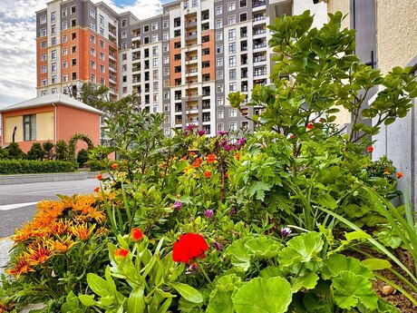 Объявление №6189497 - Баку, м. Кара Караев, 2-комн., 70 м², 4/12 этаж