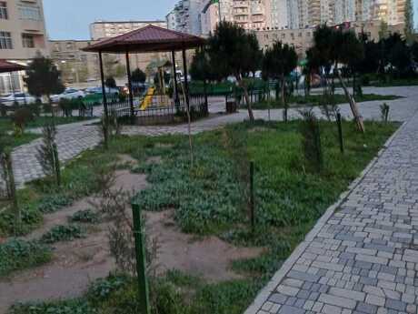 2 otaqlı mənzil, 91 m², Xətai: 240 000 ₼ 3
