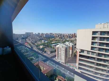 8 Noyabr m.
