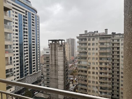 Şah İsmayıl Xətai m.