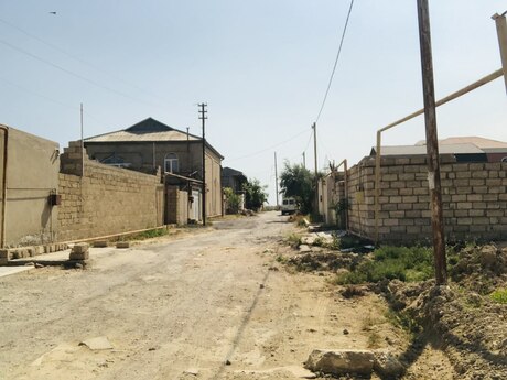 Zığ q.