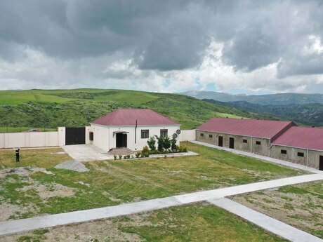 Obyekt - Şamaxı - 1000 m²