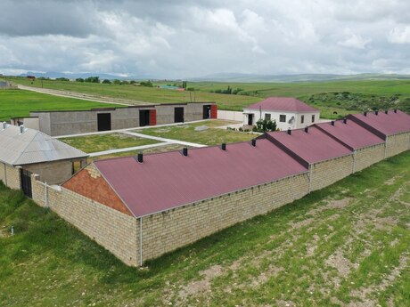 Obyekt - Şamaxı - 1000 m²