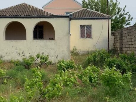 Pirşağı q.