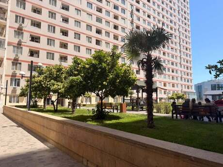 Elan №6193503 - Bakı, 20 Yanvar m., 4 otaqlı, 230 m², 11/16 mərtəbə