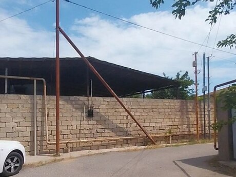 Nardaran q.