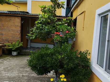 Xudat