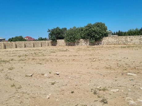 Nardaran q.