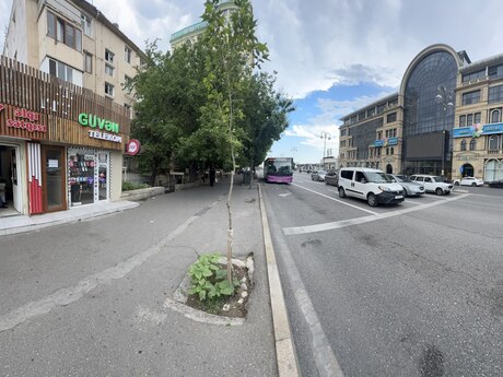 м. Элмляр Академиясы