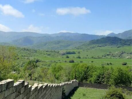 Şamaxı