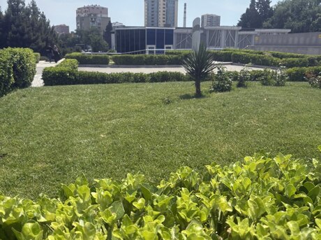 3-room apartment, 70 m², Memar Əcəmi: 175 000 ₼ 5
