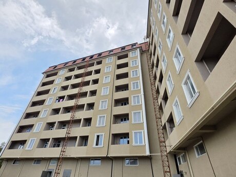 Masazır q.