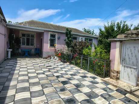 Zığ q.