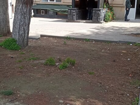 Elmlər Akademiyası m.