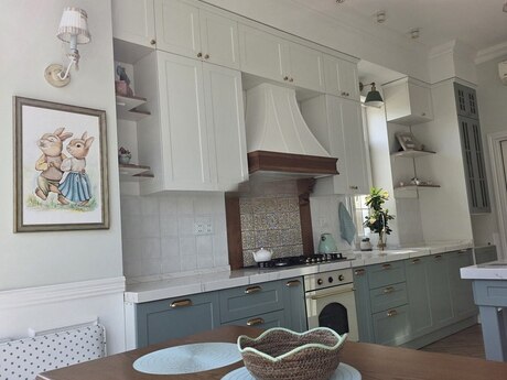 7 otaqlı həyət evi/bağ evi - Badamdar q. - 333 m²