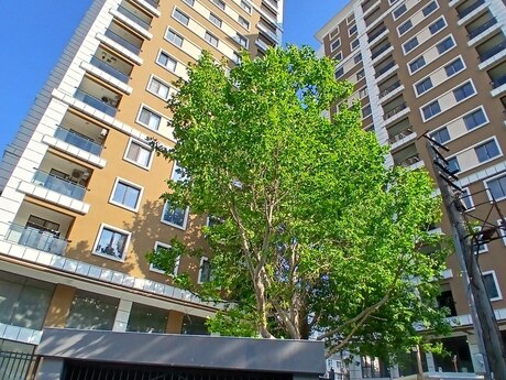 Elan №6197121 - Bakı, Nərimanov r., 3 otaqlı, 136.3 m², 5/15 mərtəbə