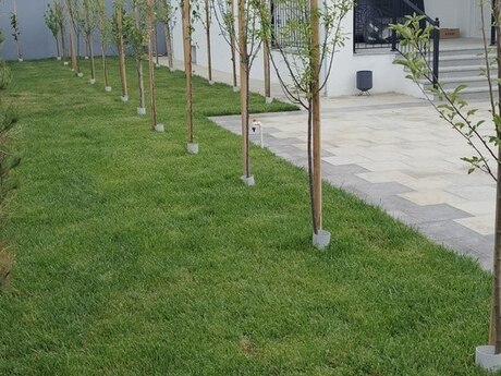 4 otaqlı həyət evi, 110 m², Zirə: 135 000 ₼ 2