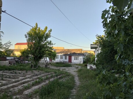 Sumqayıt