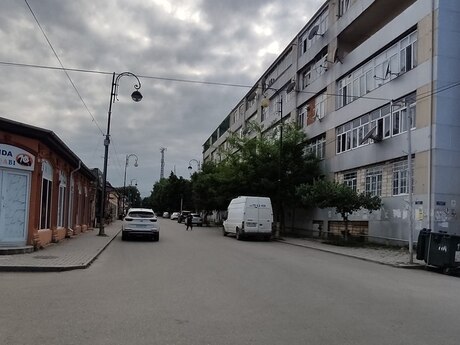 Губа
