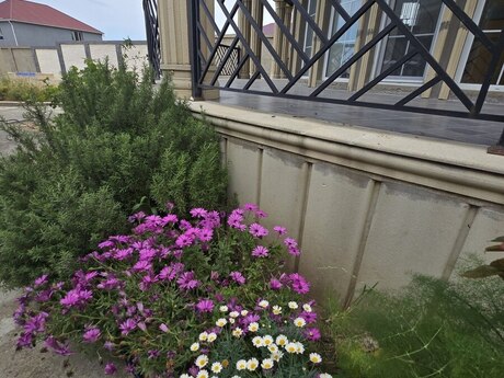 пос. Sea Breeze