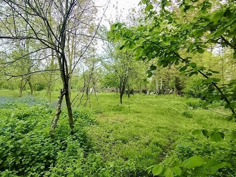 Габала