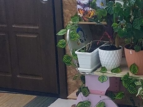 Neftçilər m.