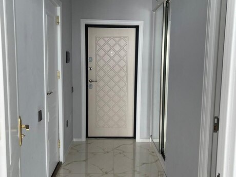 Zığ q.