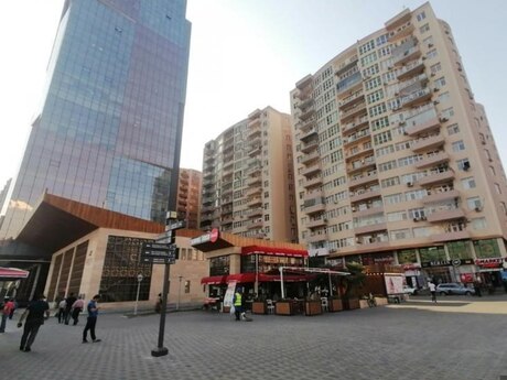 Şah İsmayıl Xətai m.