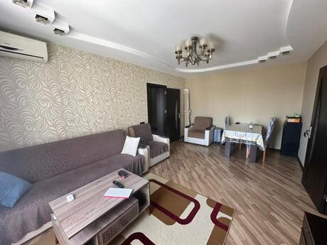 Zığ q.